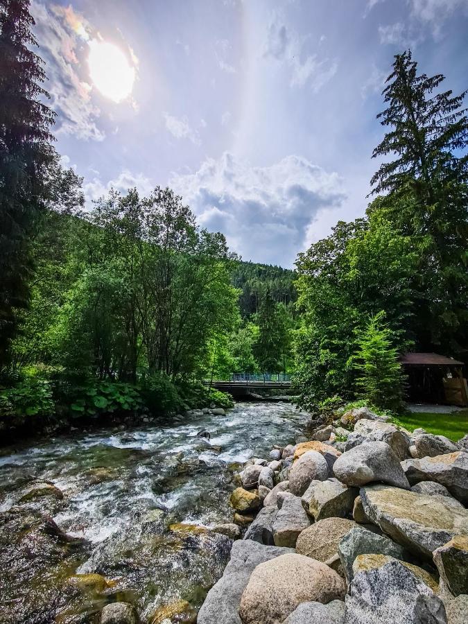 Tatrystay Riverstone Chalets Demanovska Dolina Exteriör bild