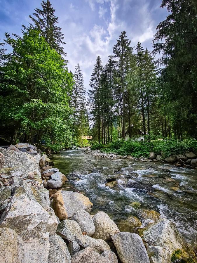 Tatrystay Riverstone Chalets Demanovska Dolina Exteriör bild